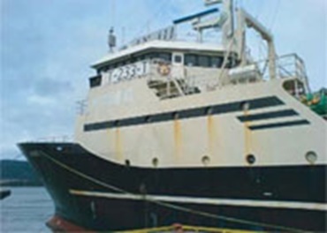 Cadenas transportadoras